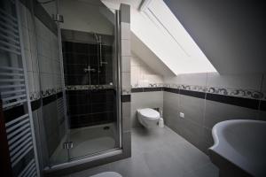 a bathroom with a shower and a toilet and a skylight at Penzion Šejby in Horní Stropnice