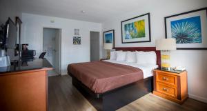 Habitación de hotel con cama y TV en Americas Best Value Inn - Chico, en Chico