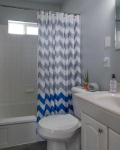 a bathroom with a toilet and a shower curtain at Serendipity Cottage in Joseph
