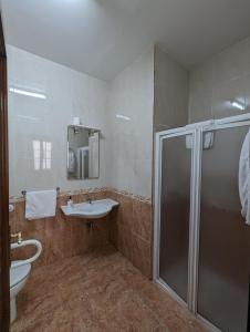 W łazience znajduje się prysznic i umywalka. w obiekcie Pensión Ciudad Navarro Ramos w Grenadzie