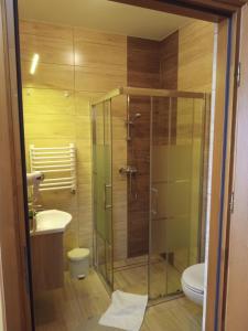 W łazience znajduje się prysznic, toaleta i umywalka. w obiekcie Bębenkowie w mieście Białka Tatrzanska