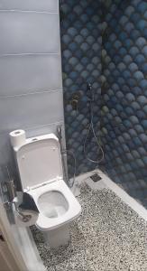 a bathroom with a toilet and a shower at Apartments Dimitra in Paralia Dionysiou