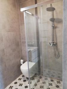 Ein Badezimmer in der Unterkunft Noclegi Pod Lasem