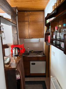 małą kuchnię z drewnianymi szafkami i białą lodówką w obiekcie Kosuta I8 w mieście Pale