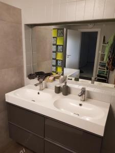 a bathroom with a sink and a large mirror at Joli appartement calme et spacieux, proche Strasbourg in Duppigheim +12 photos