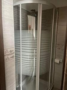 y baño con ducha y puerta de cristal. en Hotel Tyc Soleti Hotels, en Rímini