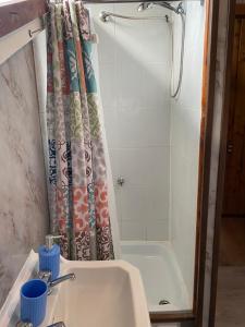 y baño con lavabo y ducha con cortina de ducha. en Felices Sueños, Entre Volcanes ., en Puerto Varas