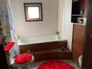 巴拉斯港的住宿－Felices Sueños, Entre Volcanes .，带浴缸和卫生间的浴室。