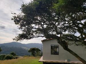 una pequeña casa con un árbol delante en Casita del páramo Sarmora, en La Calera