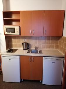 a kitchen with a sink and a microwave at Apartmány AQUAVILLA in Liptovský Trnovec