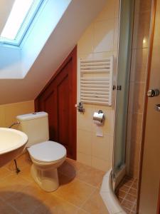 a bathroom with a toilet and a sink and a shower at Apartmány AQUAVILLA in Liptovský Trnovec