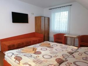 a room with a bed and a couch and a television at Apartmány AQUAVILLA in Liptovský Trnovec