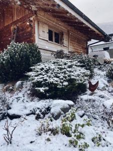 a yard covered in snow in front of a house at Grand chalet à la montagne in Bourg-Saint-Maurice