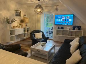 TV a/nebo společenská místnost v ubytování Villa Florentine