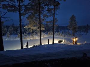 a winter night with snow and trees and lights at Villa Kanger in Kuusamo