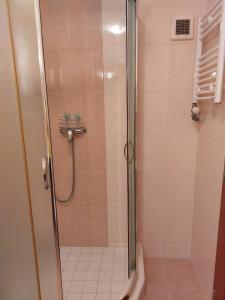 a bathroom with a shower with a glass door at Apartmány AQUAVILLA in Liptovský Trnovec