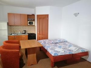 Kuchyňa alebo kuchynka v ubytovaní Apartmány AQUAVILLA