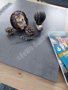 Foto dalla galleria di FeWo Bukowina a Waldshut-Tiengen