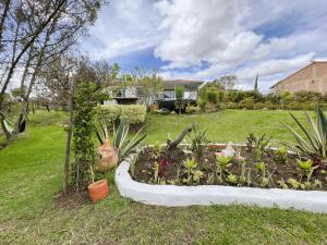 a garden with plants in a yard with a house at Casa chalet Campestre 2km in Villa de Leyva