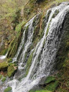 a waterfall on the side of a hill with moss at Vila Budimir in Pirot