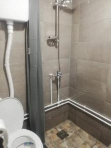 a bathroom with a shower with a toilet and a sink at Vila Budimir in Pirot