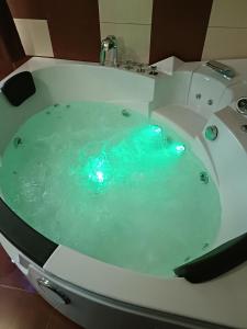 bañera con líquido azul en Casa Alboi, en Ciocăneşti