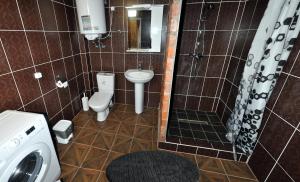 un bagno con wc, doccia e lavandino di Дворівневі Апартаменти-Лофт у Старому місті a Kam"janec'-Podil's'kyj Altre 41 foto