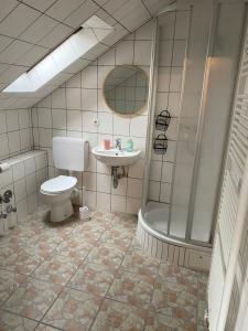 a bathroom with a toilet and a shower and a sink at Schnuggeliches Apartment in Gerbrunn
