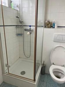 ein Bad mit einer Dusche und einem WC in der Unterkunft Villa Kunterbunt in Knittelfeld