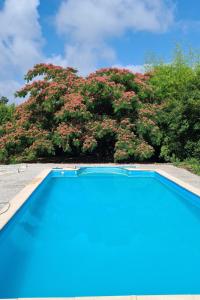 a blue swimming pool in front of a tree at Les apparts KJTM in Bletterans