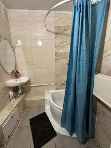 a bathroom with a shower and a toilet and a sink at ArArAt-POZNYAKI Hostel KYIV in Kyiv