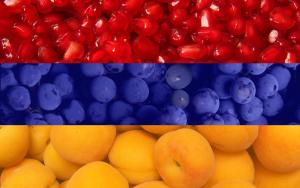 uma colagem de fotografias de frutas, incluindo laranjas e bagas em ArArAt-POZNYAKI Hostel KYIV em Kiev