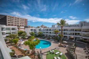 プラヤ・デ・ラス・アメリカスにあるOptimist Tenerifeのプールとヤシの木があるホテルの空中ビュー