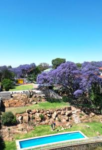 basen w parku z fioletowymi drzewami w obiekcie Fishbird Art Deco Villa w mieście Johannesburg