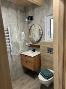 een badkamer met een wastafel, een toilet en een spiegel bij Osada Wichrowe Wzgórze in Rajcza