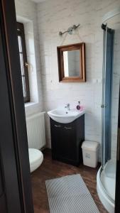 a bathroom with a sink and a toilet and a mirror at Dom nad Morzem 79 in Stegna