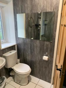 a bathroom with a white toilet and a shower at Hays cottage in Halifax