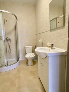 a bathroom with a toilet and a sink and a shower at InnTime in Cluj-Napoca