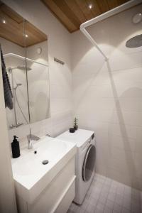 赫爾辛基的住宿－Luxury Nordic Loft with Great Kitchen and Location，一间带水槽和洗衣机的浴室
