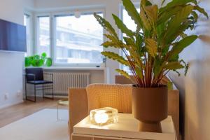 a potted plant sitting on a table in a living room at Luxury Nordic Loft with Great Kitchen and Location in Helsinki