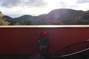 A general mountain view or a mountain view taken from a panziókat