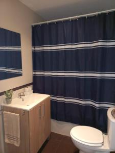 y baño con cortina de ducha azul y aseo. en Ático de Laura en Armilla