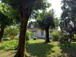 ベルジュラックにあるGîte d'Elvire Maison chaleureuse avec jacuzzi privatif et parc arboréの庭に木が2本ある家