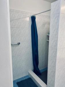 a shower with a blue shower curtain in a bathroom at Apartmán Mája in Rumburk