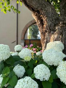 A garden outside Casa Perazzolo