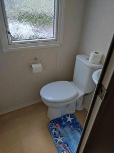 a bathroom with a toilet with a window and a rug at Swift johnson in Parkeston