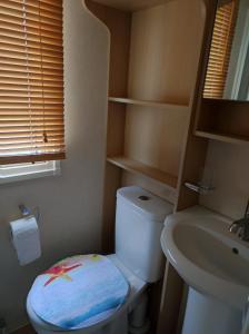 a small bathroom with a toilet and a sink at Dovercourt holiday park swift johnson low road harwich essex co12 3TZ in Parkeston