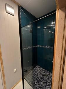 a bathroom with a shower with blue tile at StagHorn floating river house in Jūrmala