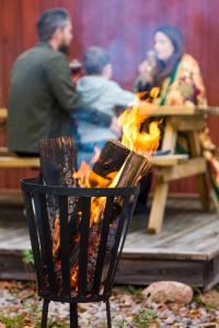 カールスクルーナにあるViö Gårdenの火の周りに座る人々