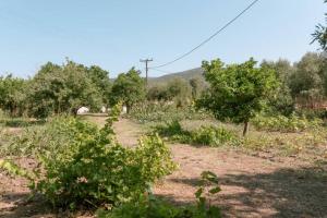Naturlandskabet i nærheden af feriehuset